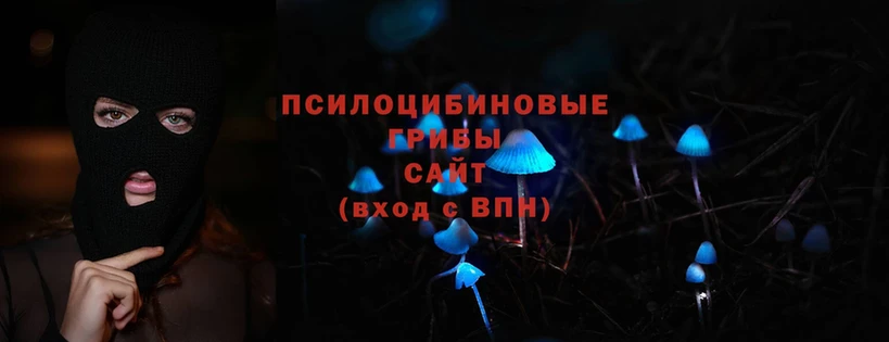 omg онион  Бийск  Псилоцибиновые грибы Magic Shrooms 